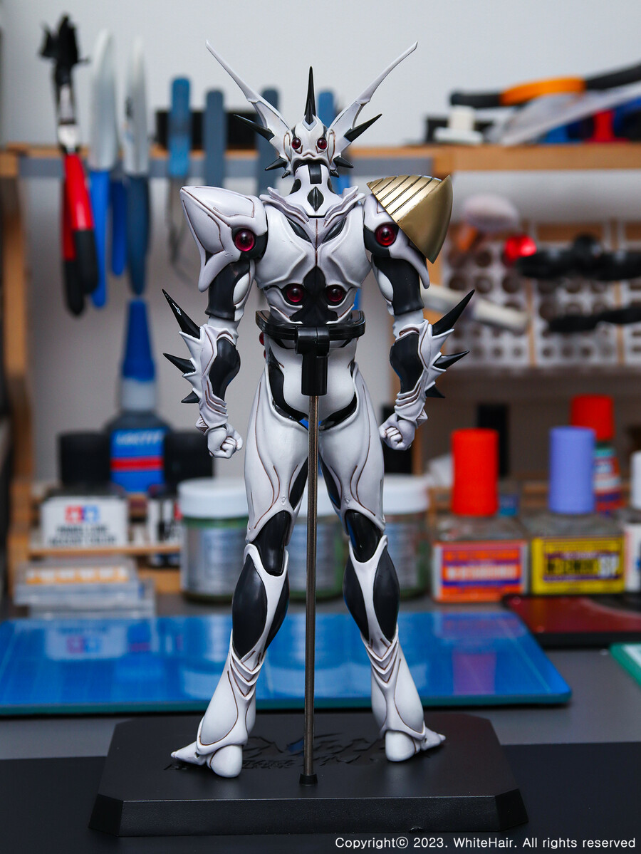 맥스팩토리 BFC 이마카람 미라빌리스_11.jpg