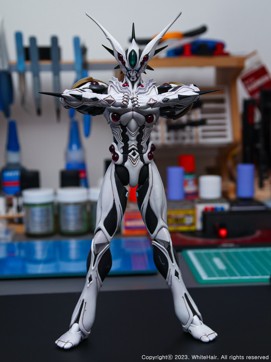 맥스팩토리 BFC 이마카람 미라빌리스_13.jpg