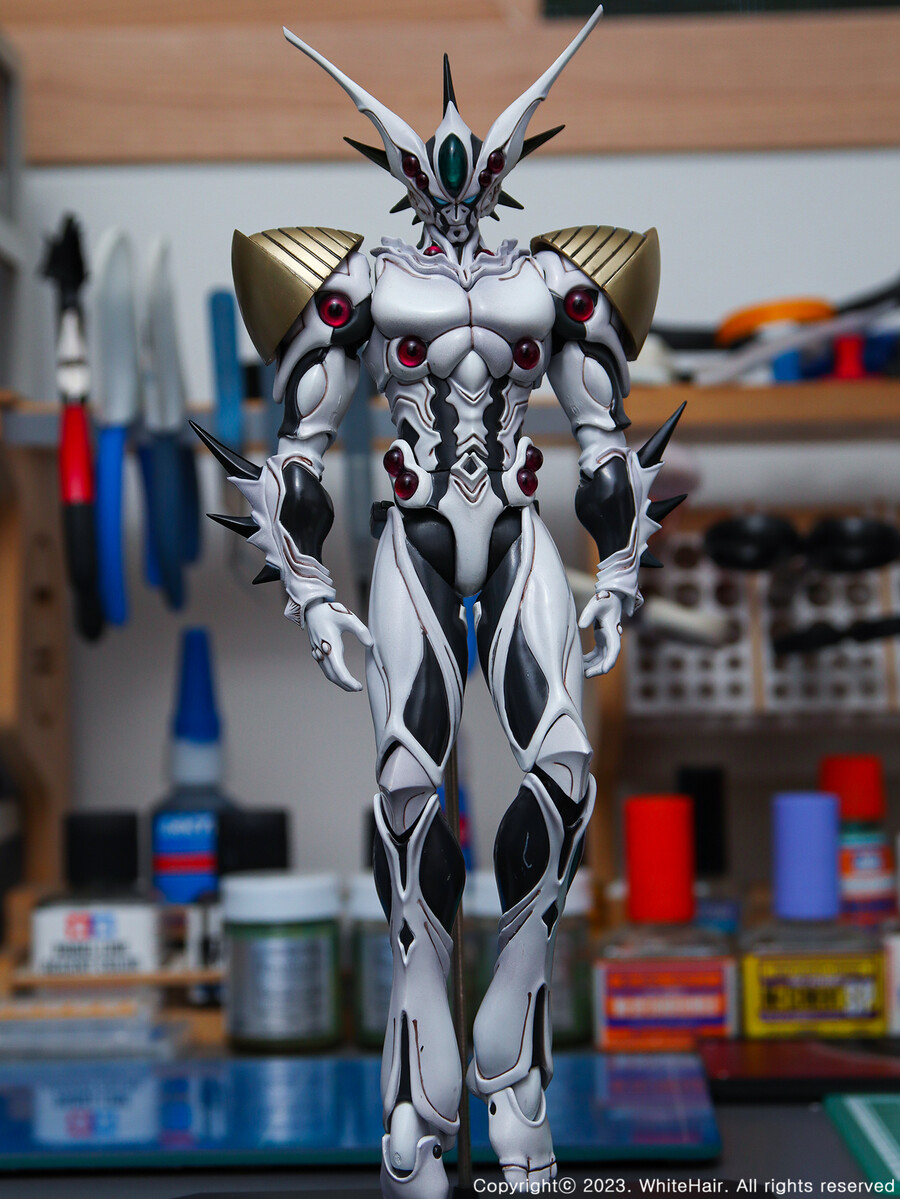 맥스팩토리 BFC 이마카람 미라빌리스_16.jpg