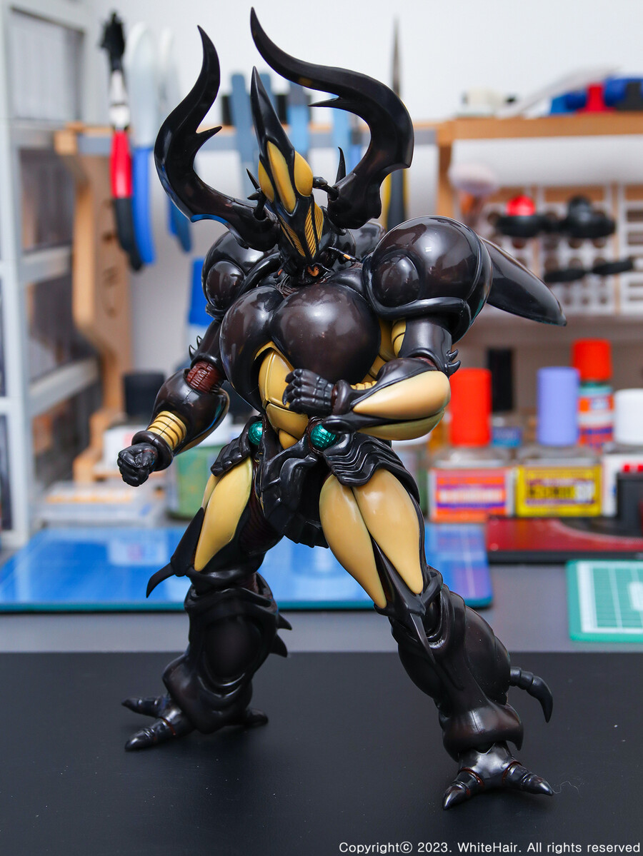 MaxFactory BFC 맥스팩토리 네오 젝토르_16.jpg