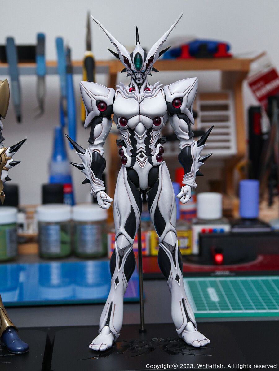 MaxFactory BFC 맥스팩토리 이마카람 미라빌리스 [조아로드]_12.jpg