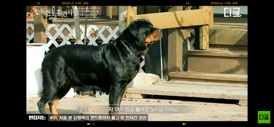 강형욱)도 놀란 맹명견_4.png