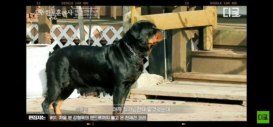 강형욱)도 놀란 맹명견_5.png