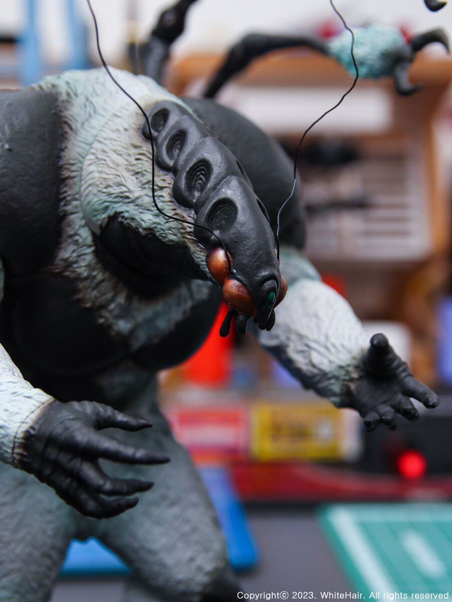 MaxFactory BFW 엔자임2 & 모르모트_12.jpg