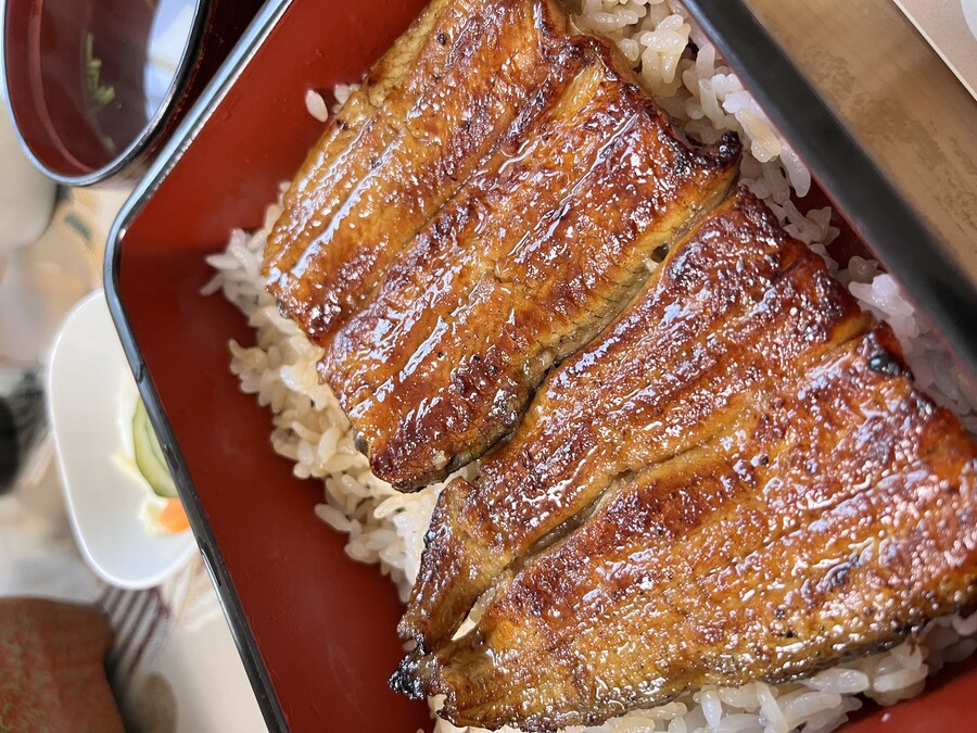 스압)일본 여행 다녀왔습니다 (장어덮밥, 마츠리)_10.jpg