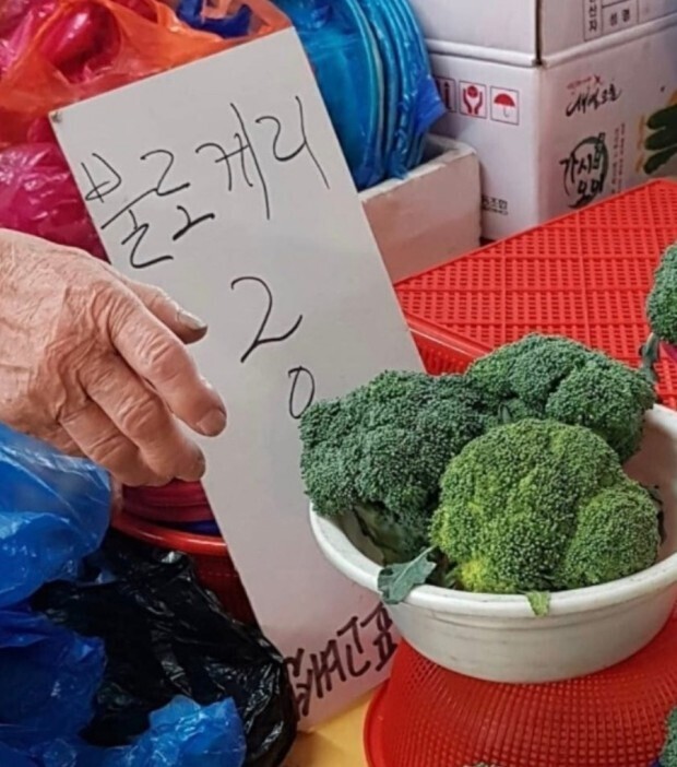 보리꼬리 브로커 브로뻐큐 모음_4.jpg