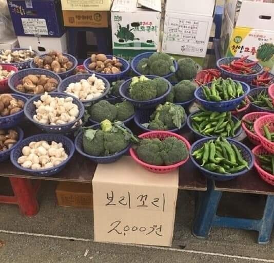 보리꼬리 브로커 브로뻐큐 모음_8.jpg