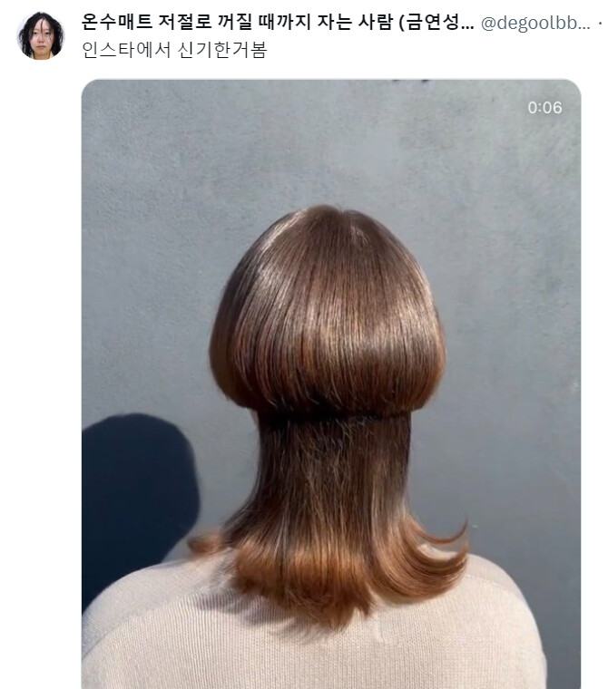 건담 미오리네 헤어스타일 현실 버젼