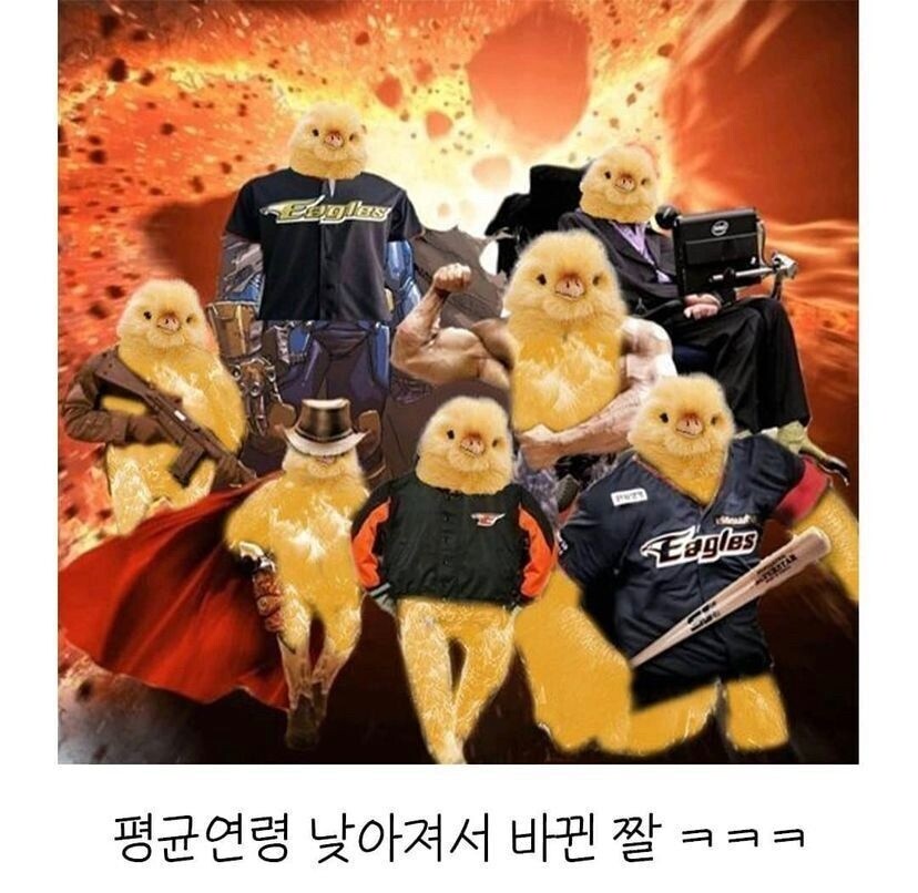 최강 한화 짤 근황_1.jpg