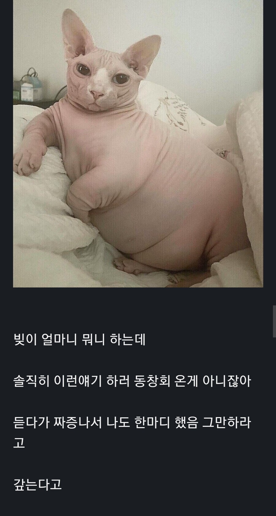 19. 0. 분리수거. 