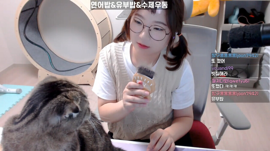인방) 루시아: 고양이님 빨리 방송하게 내려가세용_1.png