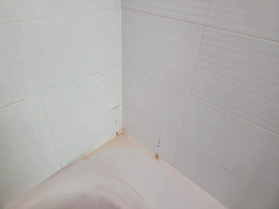 루리웹 5000일 가까이 하니 생긴 변화_27.jpg