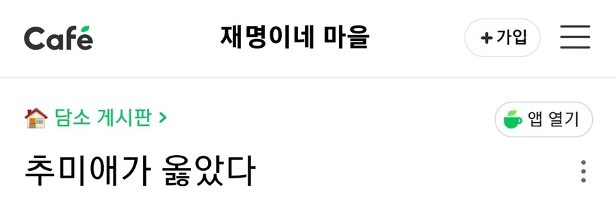 찢어진 마을)추미애가 옳았다_1.jpg