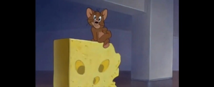 톰과제리)개인적으로 먹방 진짜 goat급임_1.jpg