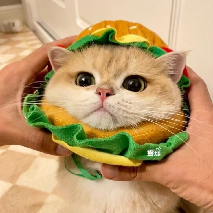 박사학위 따면 메리트가 뭔가요?_1.jpg