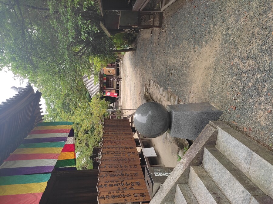 마츠야마 2_11.jpg