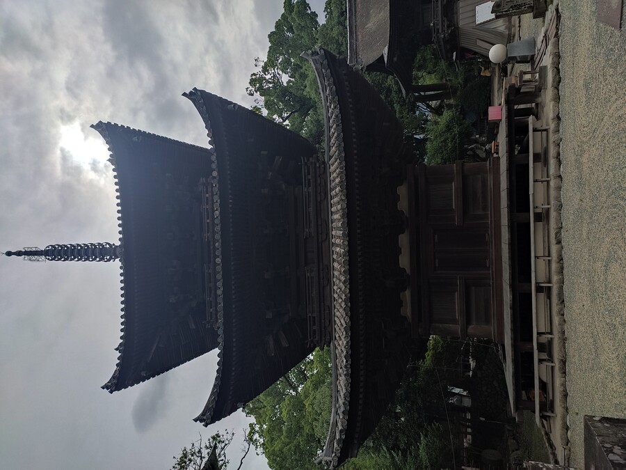 마츠야마 2_15.jpg