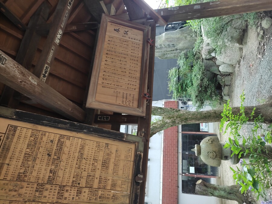 마츠야마 2_33.jpg