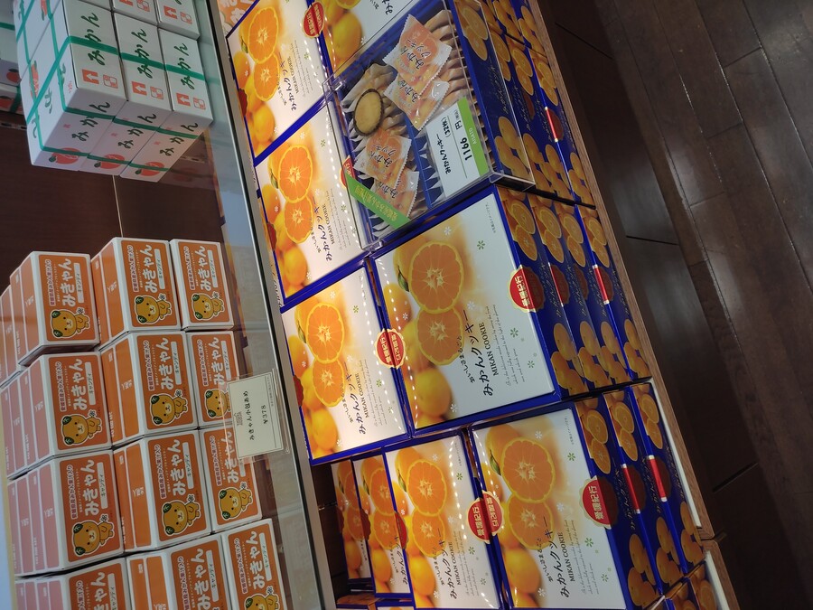 마츠야마 2_86.jpg