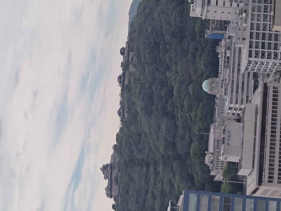 마츠야마 2_142.jpg