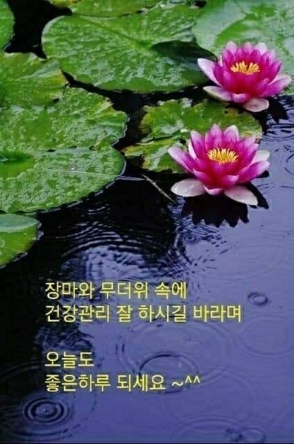 휴대폰 안 터질때 조치방법 알려드림_3.jpg