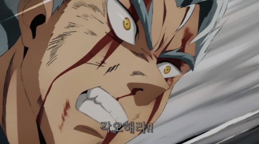 원펀맨) 킹에게 덤비는 가로우_10.jpg