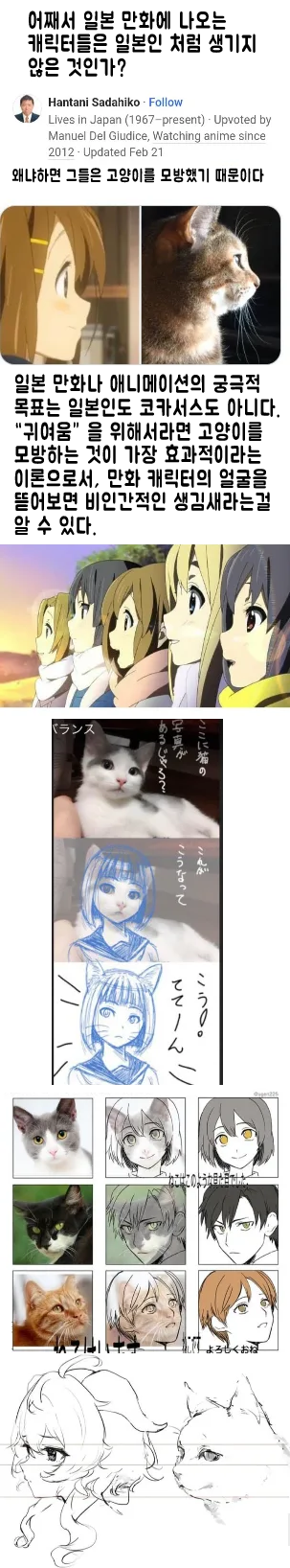 일본 만화 캐릭터는 일본인의 얼굴이 아니다.jpg_1.png