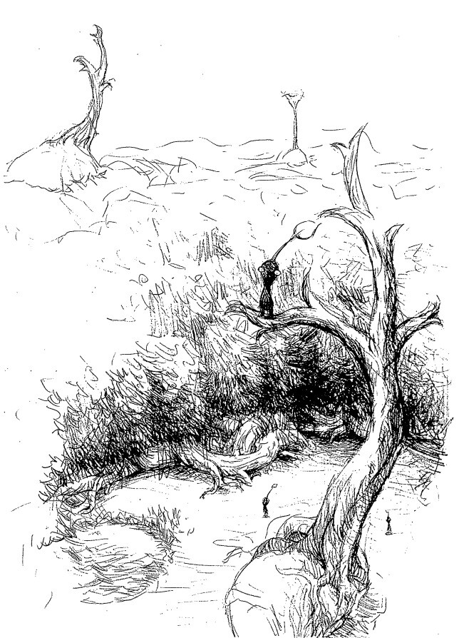 인터뷰 개발자에게 묻다 '피크민 4' 챕터1 공개 (미야모토 시게루 참여)_2.jpg