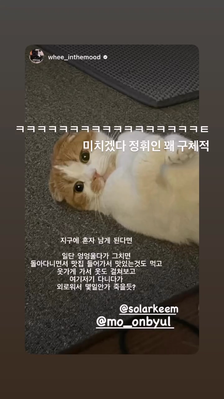 Instagram mo_onbyul stories 3149554580052415083.mp4_20230718_194638.511.jpg