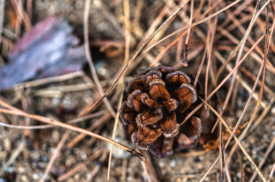 찍었던 사진 몇장 올립니다._3.jpg