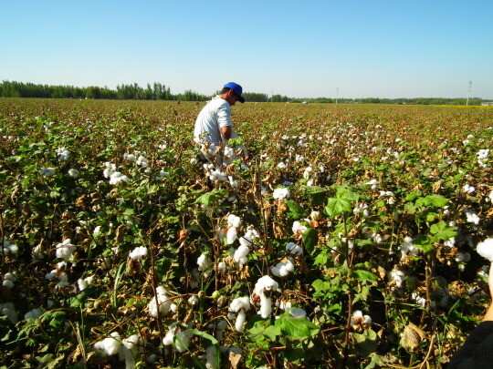 아랄 해 문제가 해결되기 어려운 이유.mokhwa_3.jpg