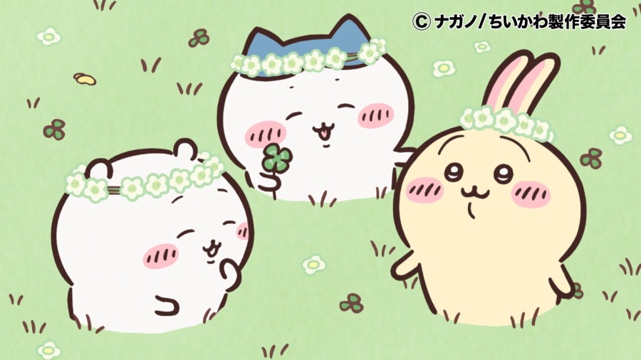 치이카와) 짤 받아가라_1.jpeg