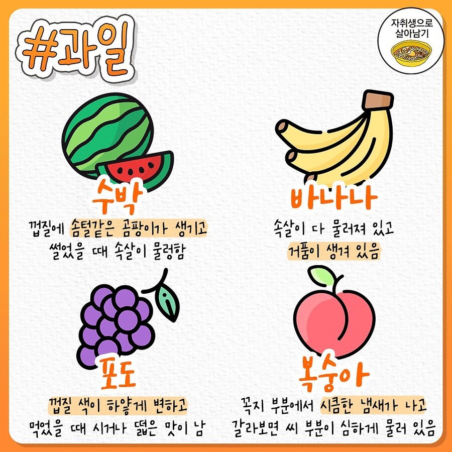 상한 음식 구별하는 방법_4.jpeg