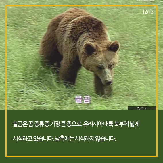 통일 만약되면 북한 개마고원 부터가야지 우린 한국의 알프스