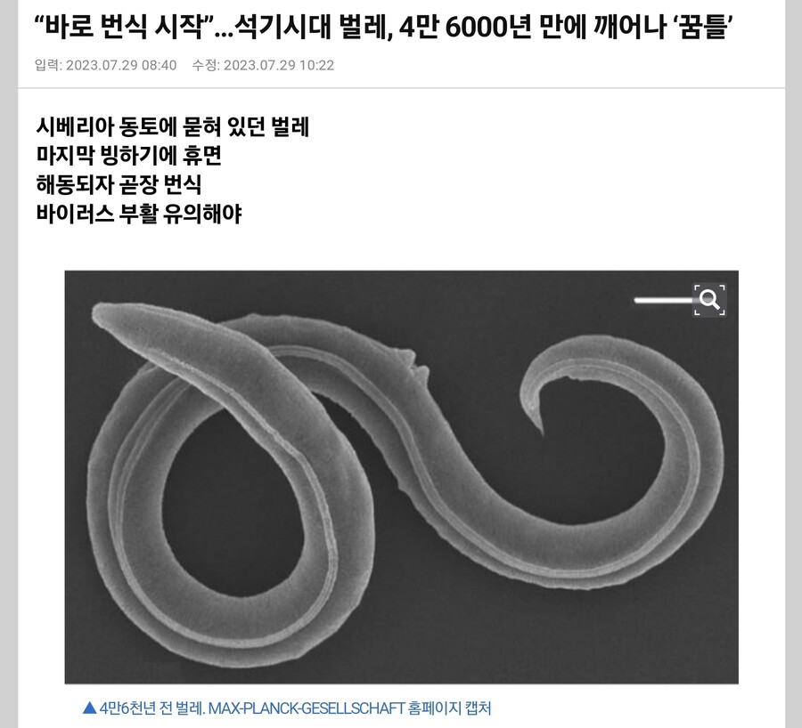 지구온난화) 영구동토에 갇혀있던 구석기시대 유충들 깨어나..._1.jpg