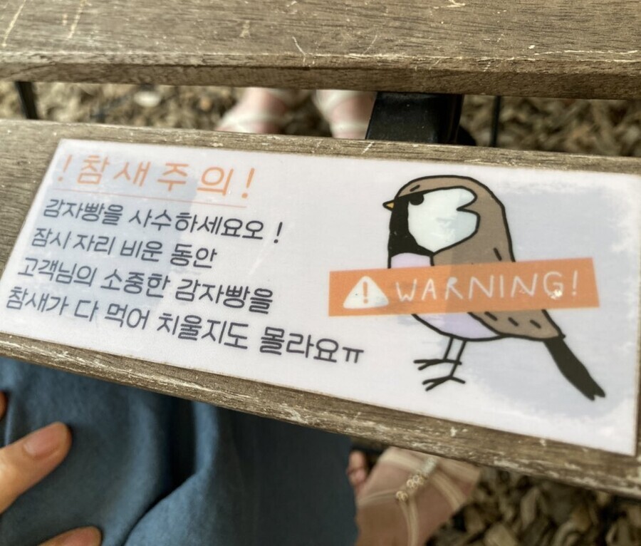 여름참새와 감자빵빵.jpg_1.jpg