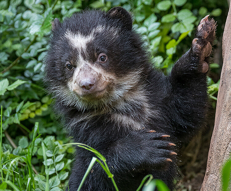 어떤 우주제국이 미개한 행성을 침공한 이야기_8.jpg