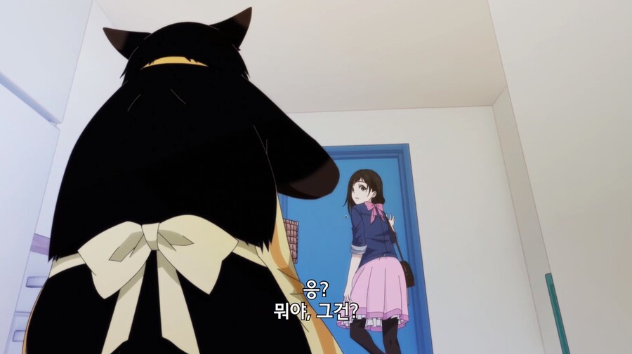 야무진고양이) 이 고양이 못하는게 뭘까_8.jpg