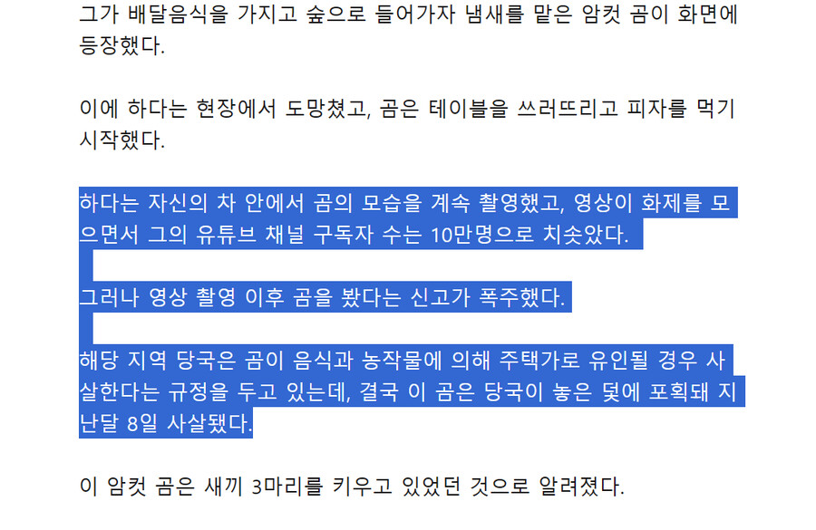 곰에게 습격당할 뻔한 유튜버가 일본내에서 욕먹는 이유 알아보자_1.png
