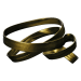 gold_ribbon_amulets.png