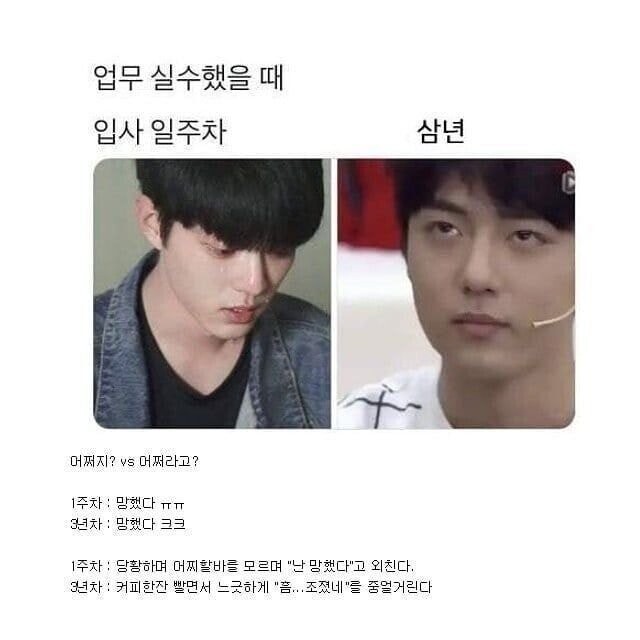 직장인 입사 초기 vs 입사 n년차