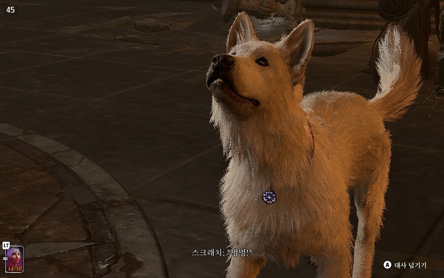 야영장은 힐링하는 곳이죠._1.jpg