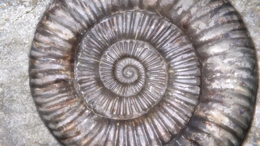 [버블] 배경 미술 모음 (166장, 32MB)_71.jpg