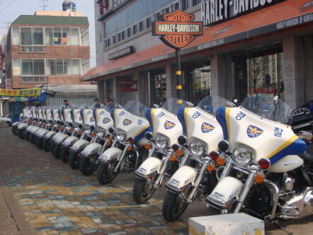 무언가 수상한 오토바이 짤 모음집_1.jpg