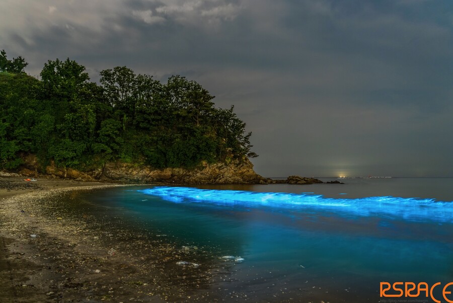 올해 찍은 사진들 (스압 65장)_54.jpeg