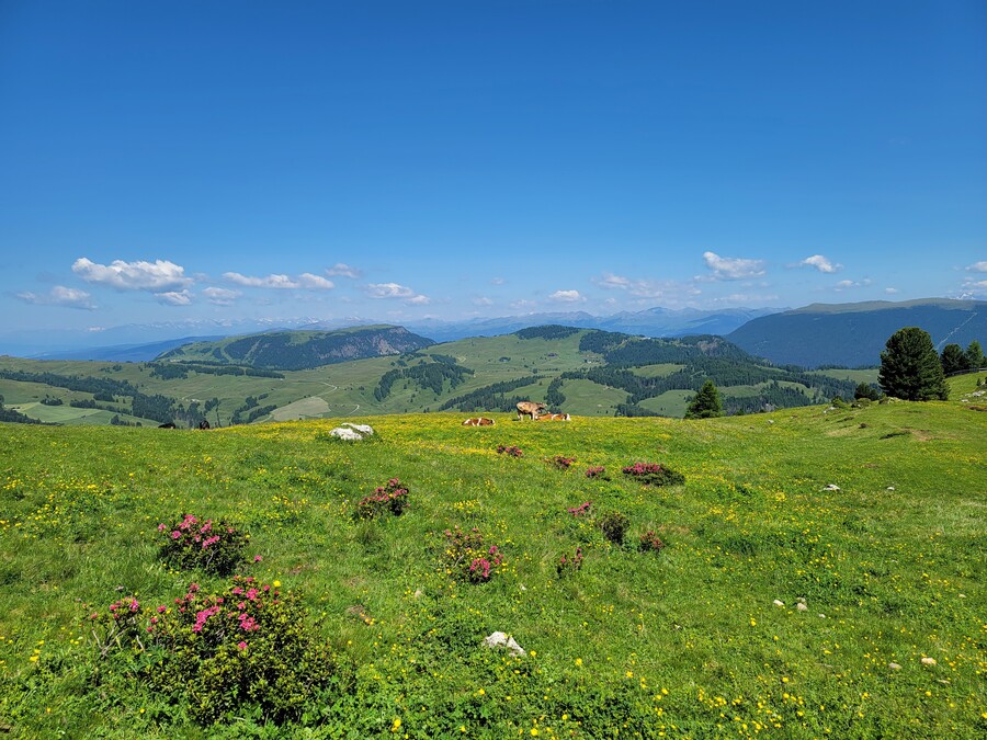 어머니 모시고 알프스 여행 20~21일차, 사쏘 룽고-포르도이 그리고 집으로_27.jpg