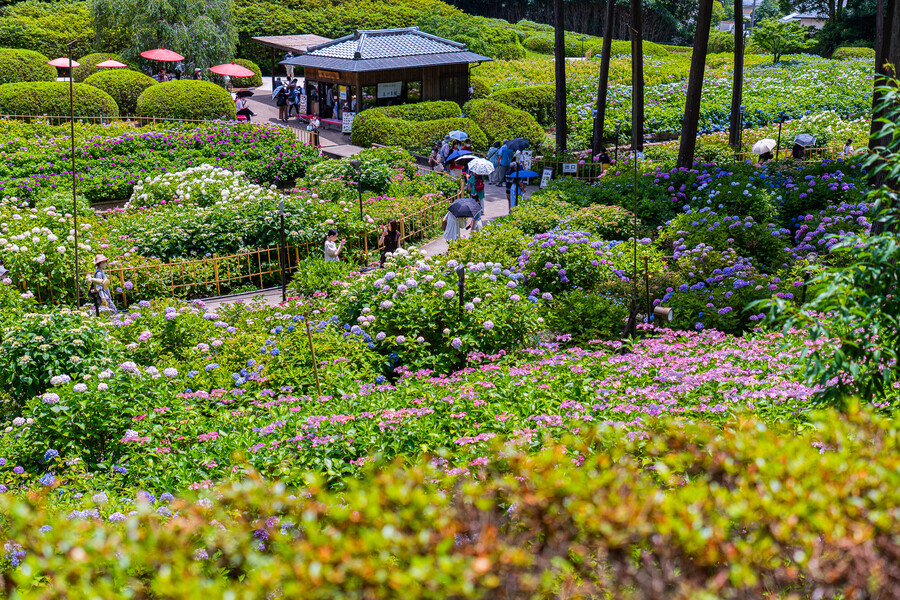일본 외노자의 1년 기록 (55장)_1.jpg