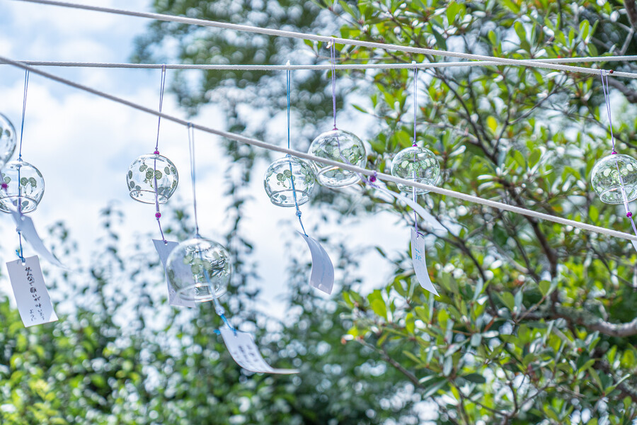 일본 외노자의 1년 기록 (55장)_11.jpg