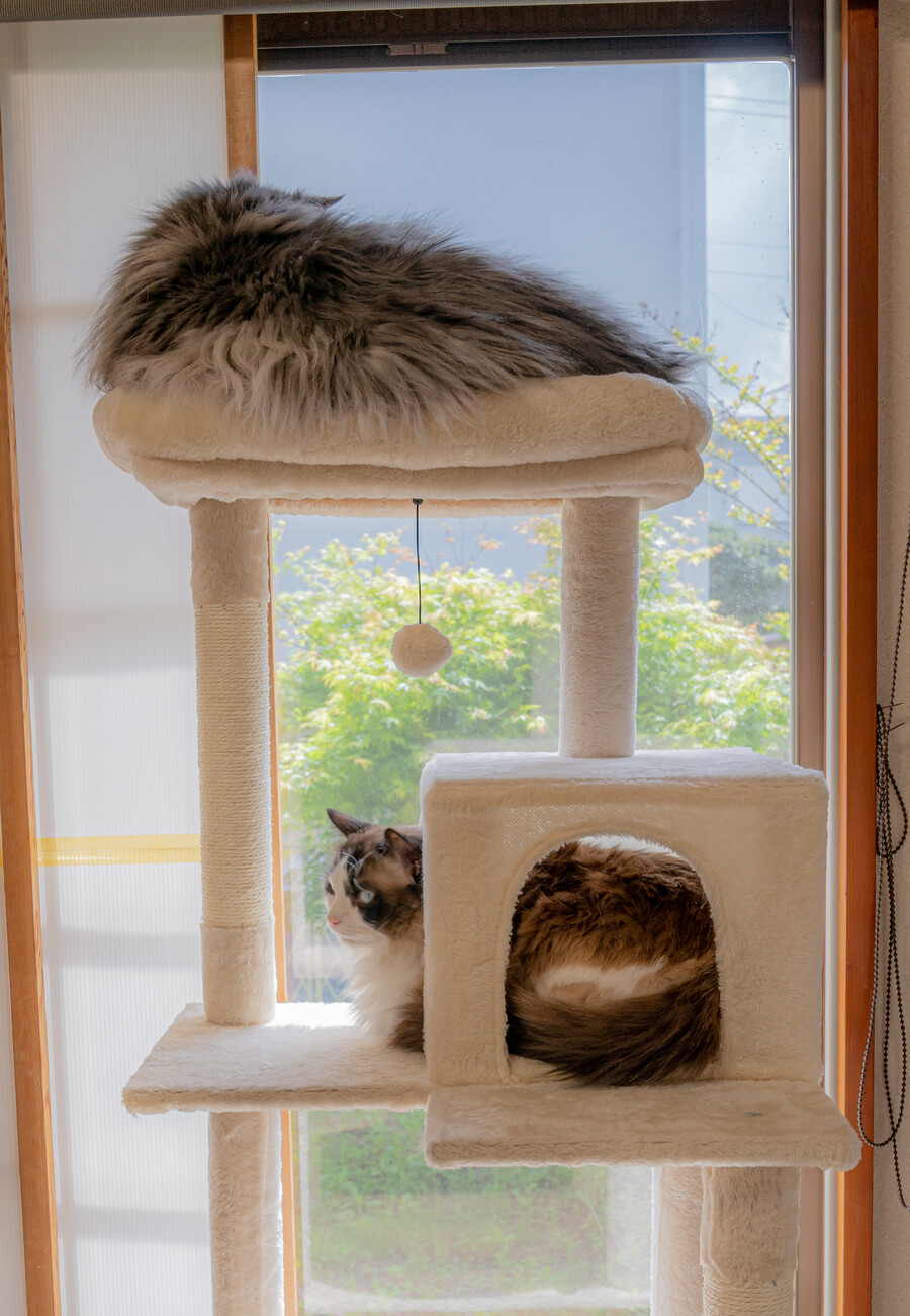 일본 외노자의 1년 기록 (55장)_31.jpg