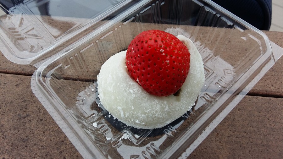 2017년 나고야 여행_105.jpg